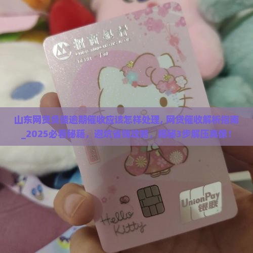 山东网贷负债逾期催收应该怎样处理