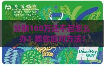 分期100万还不起怎么办