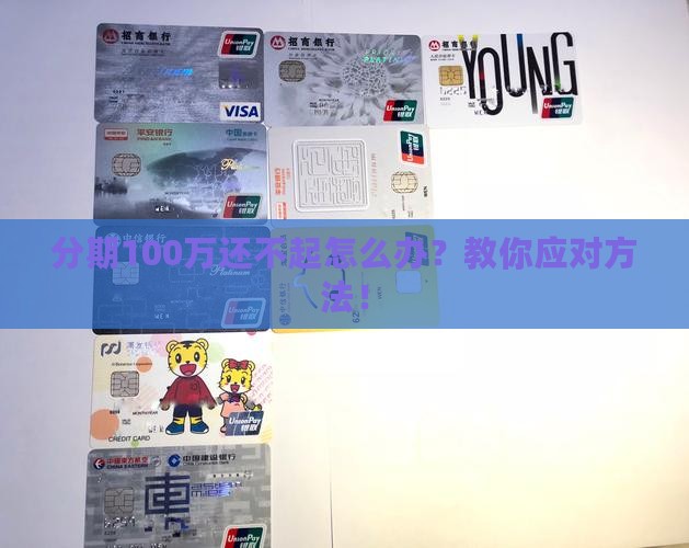 分期100万还不起怎么办