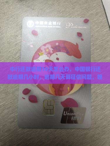 中行还款逾期10天怎么办