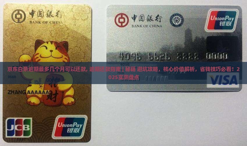 京东白条逾期最多几个月可以还款