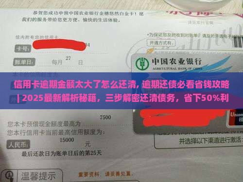 信用卡逾期金额太大了怎么还清