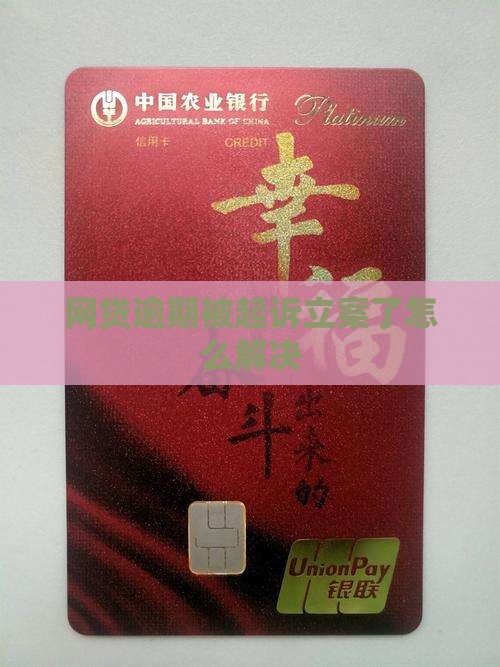 网贷逾期被网上立案了怎么解决