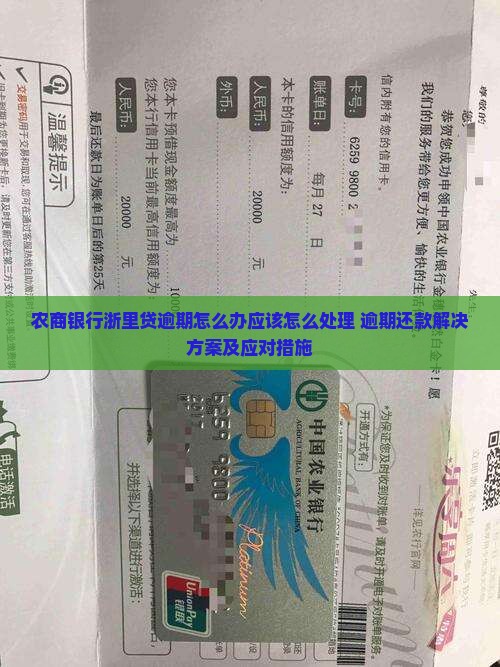 农商银行浙里贷逾期怎么办应该怎么处理