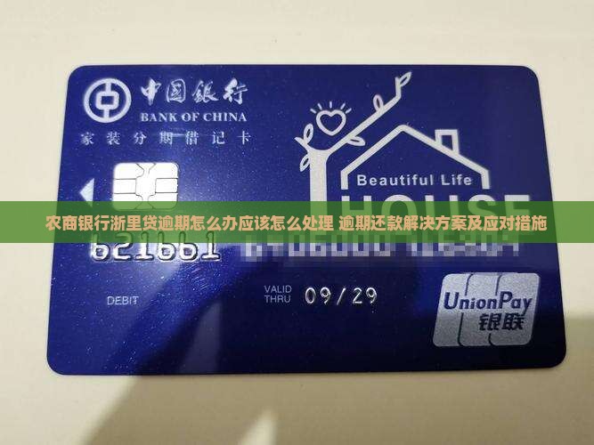 农商银行浙里贷逾期怎么办应该怎么处理