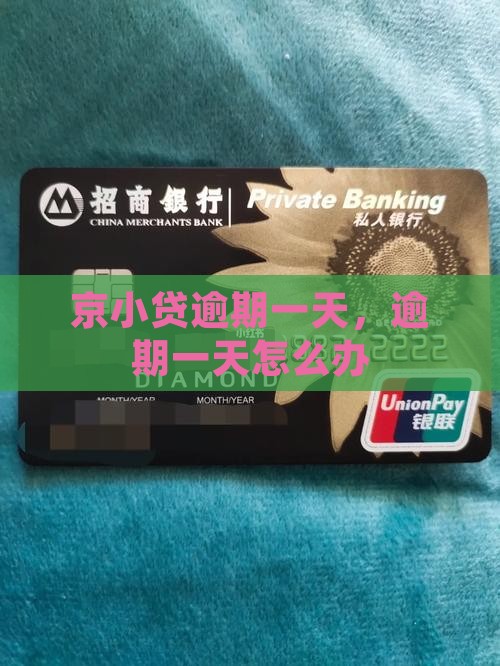 京小贷逾期一天