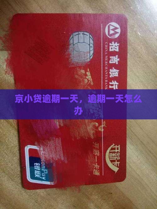 京小贷逾期一天