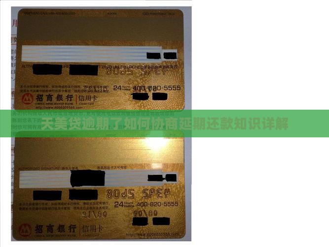 天美贷逾期了怎么办理延期还款