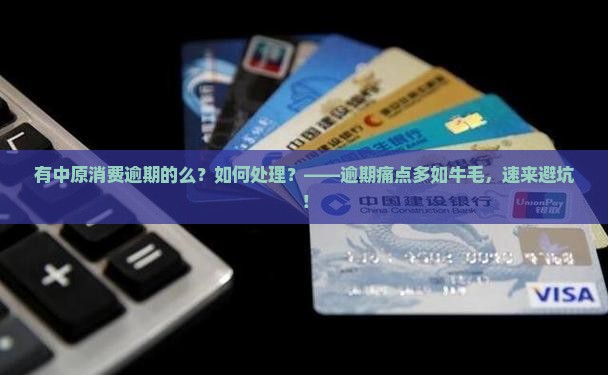 有中原消费逾期的么如何处理