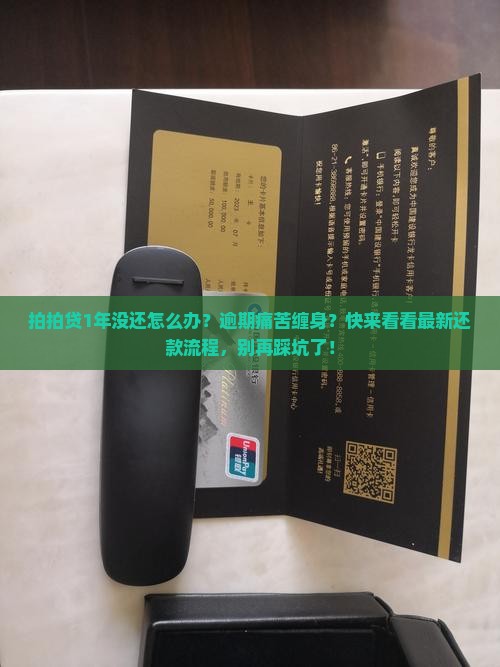 拍拍贷1年没还怎么办还款流程是怎样的