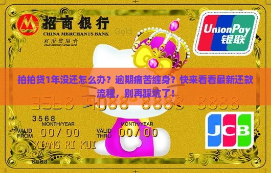 拍拍贷1年没还怎么办还款流程是怎样的