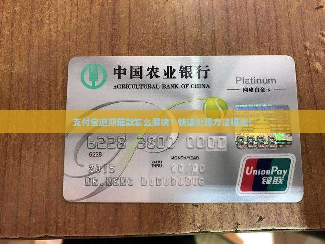 支付宝逾期催款怎么解决
