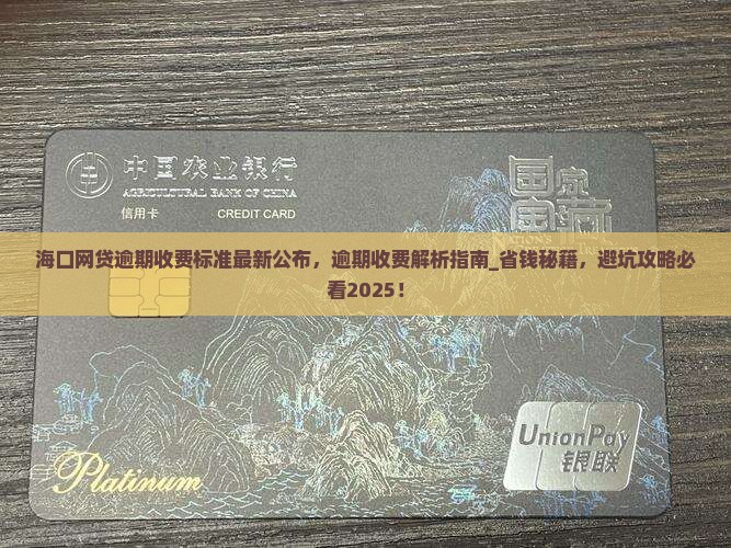 海口网贷逾期收费标准最新公布