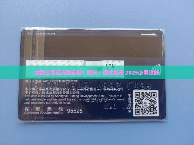 金融公司起诉我逾期