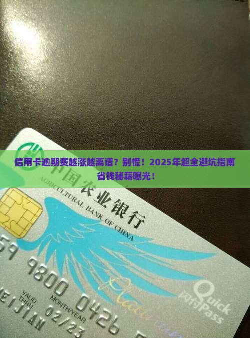 信用卡逾期费一直涨怎么办
