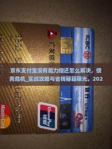 京东支付宝没有能力偿还怎么解决