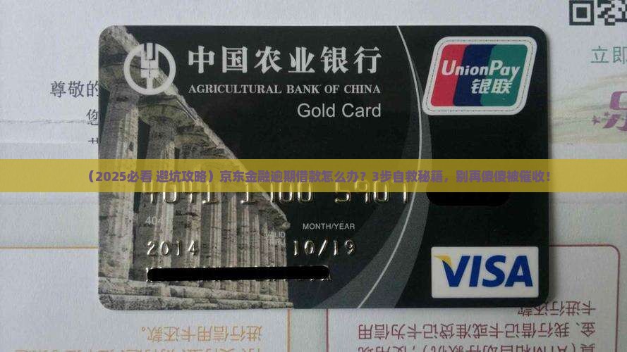 京东金融逾期借款怎么处理