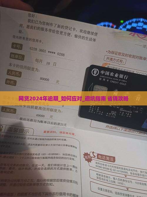 网贷2024年逾期