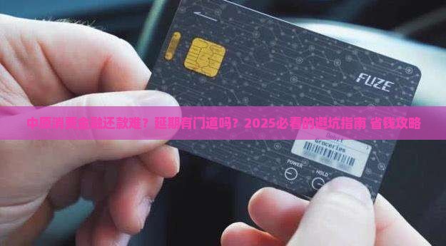 中原消费金融借款延期还款