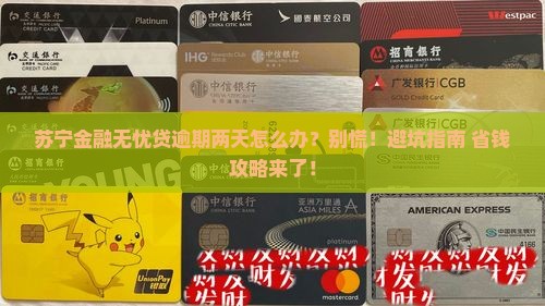 苏宁金融无忧贷逾期两天怎么办