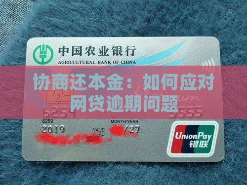 欠网贷如何协商还本金