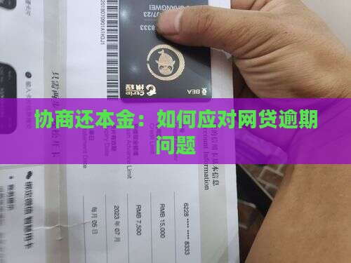欠网贷如何协商还本金