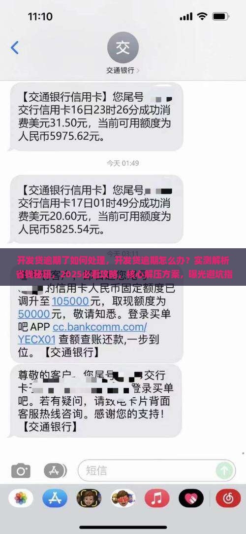 开发贷逾期了如何处理