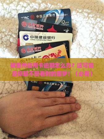 被惠州信用卡逾期怎么办