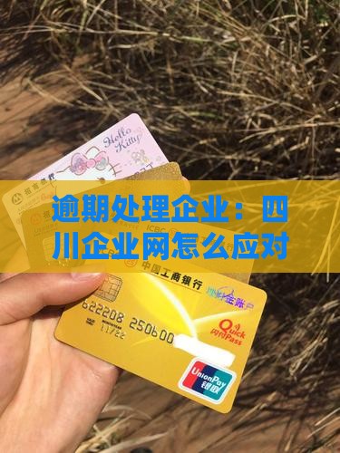 四川网贷逾期处理企业如何应对逾期情况