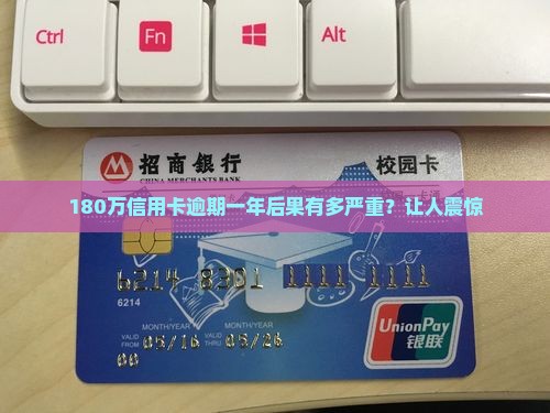 180万信用卡逾期一年
