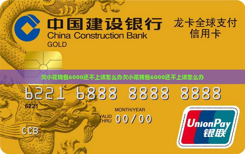欠小花钱包6000还不上该怎么办