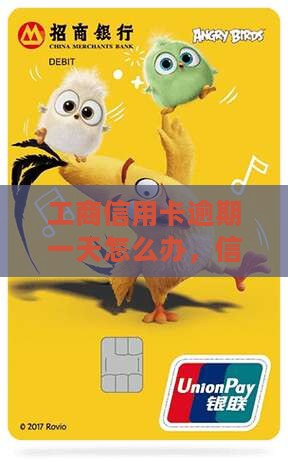 工商信用卡逾期一天还需要注意什么