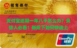 支付宝逾期一年八千如何处理