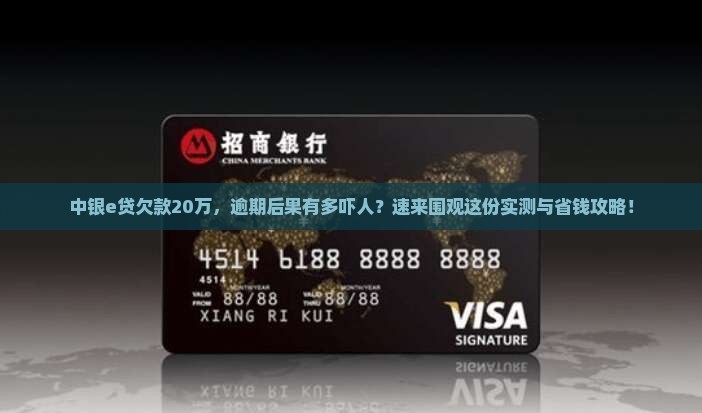 中银e贷欠款20万严重逾期后果及解决办法