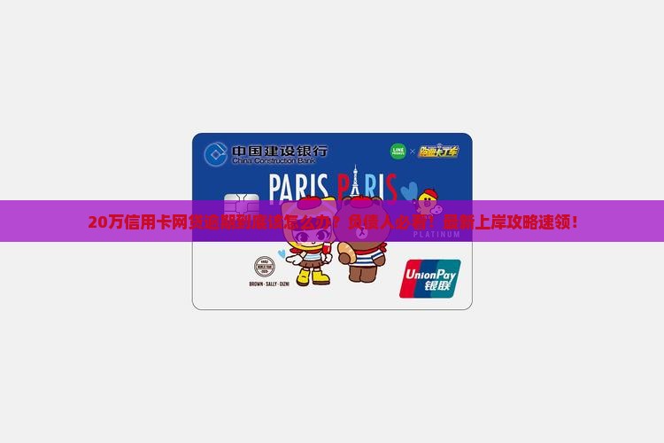 20万信用卡网贷逾期应该怎么处理