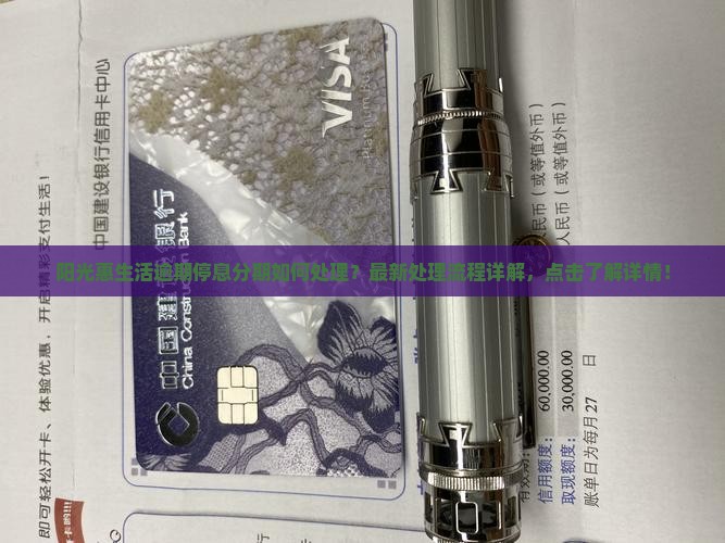 阳光惠生活逾期停息分期如何处理