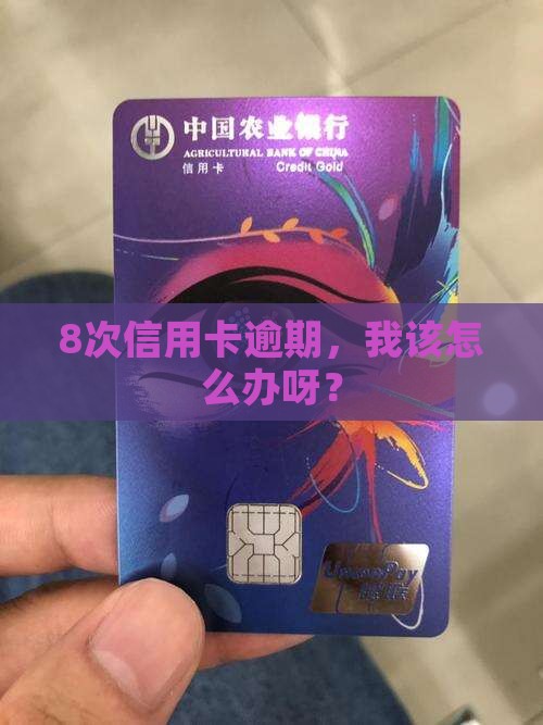 信用卡逾期8次应该如何处理