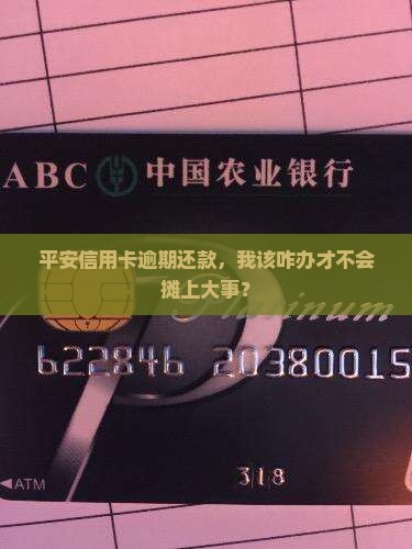 平安信用卡还不上会发生什么