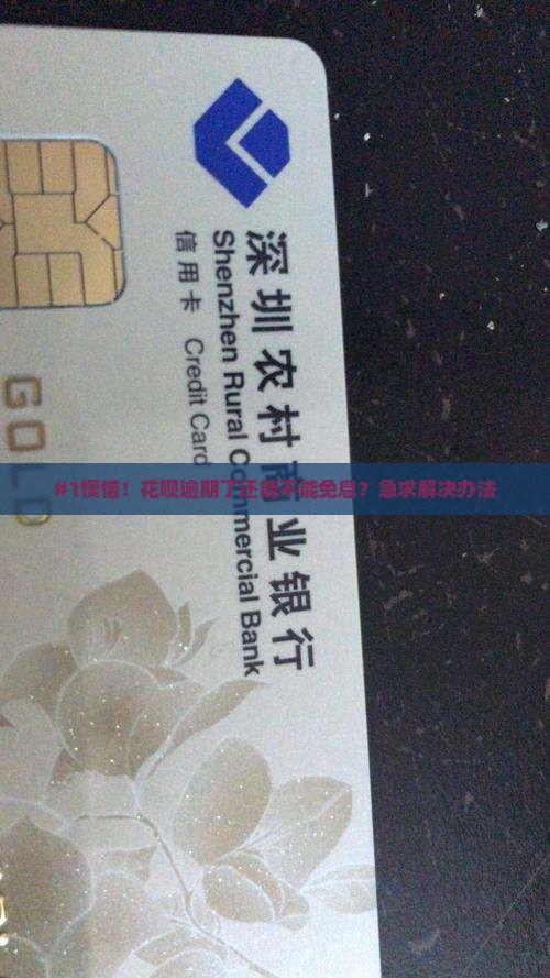 支付宝逾期了怎么免息