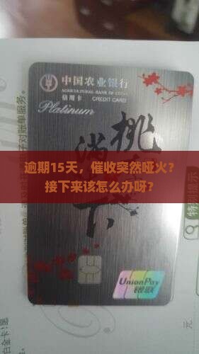 逾期15天后没催收了怎么处理
