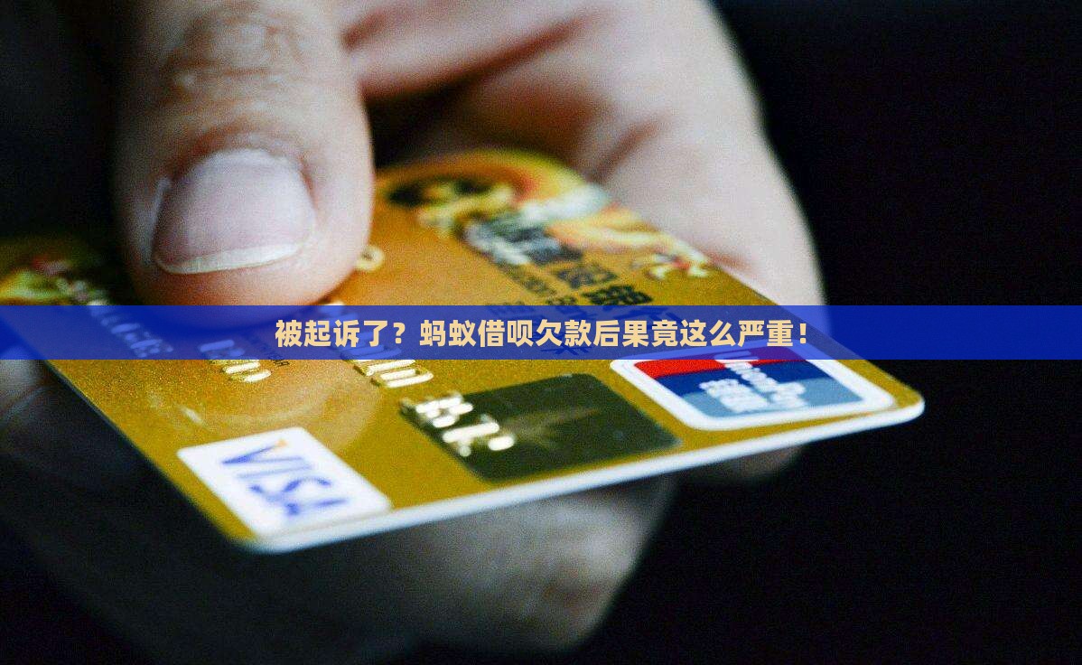 蚂蚁欠款被起诉的后果