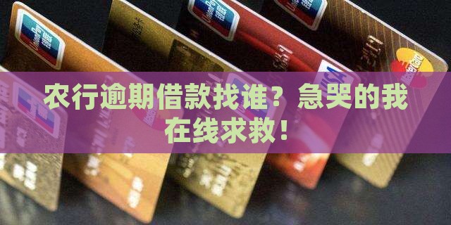 农业银行逾期借款找谁