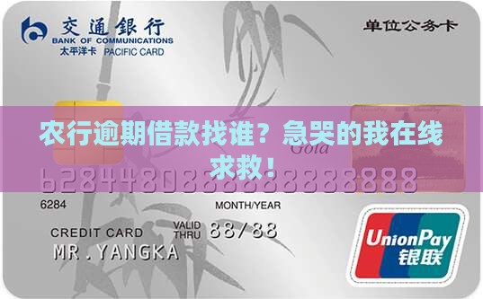 农业银行逾期借款找谁