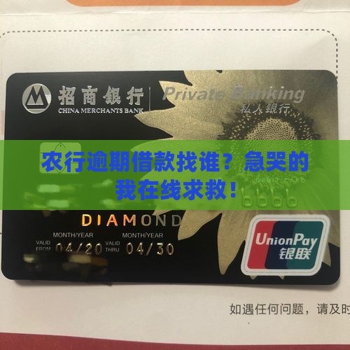 农业银行逾期借款找谁