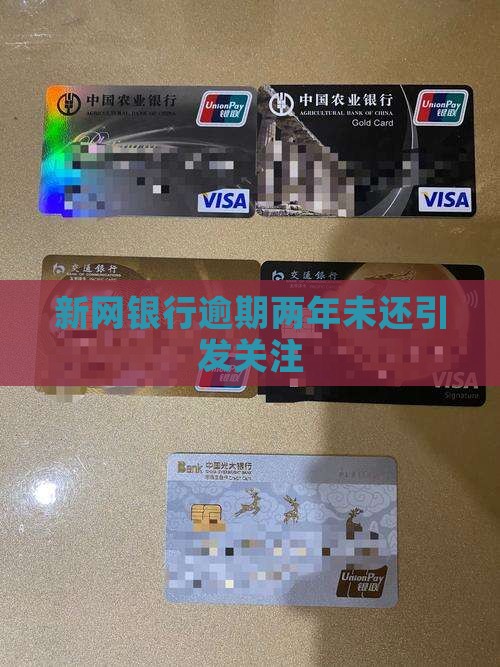 新网银行逾期二年未还