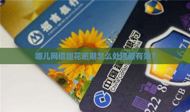 去哪儿网的借趣花严重逾期应该怎么处理