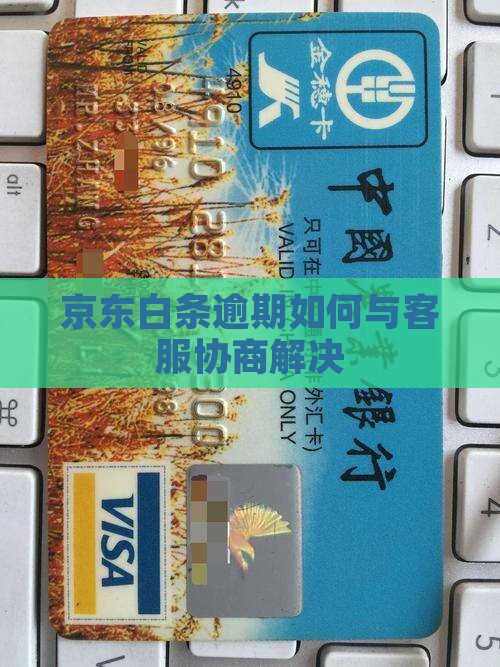 京东白条逾期如何与客服沟通解决