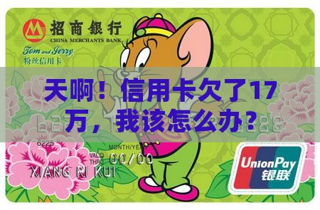 信用卡欠17万怎么办