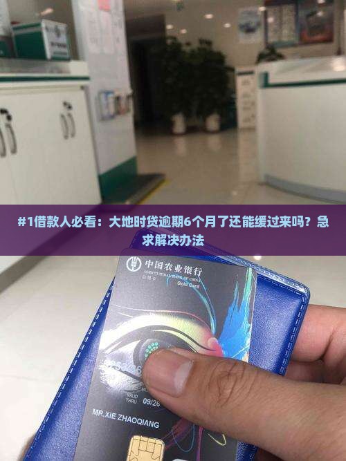 大地时贷逾期6个月怎么办