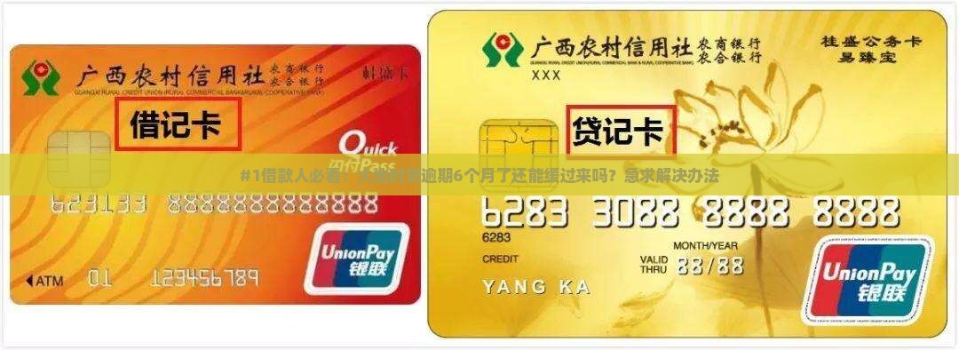 大地时贷逾期6个月怎么办